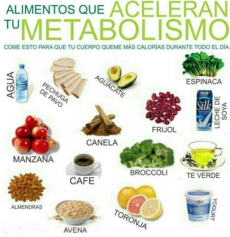 ^^ 8 Alimentos para Acelerar el Metabolismo.  Café: Ayuda ...