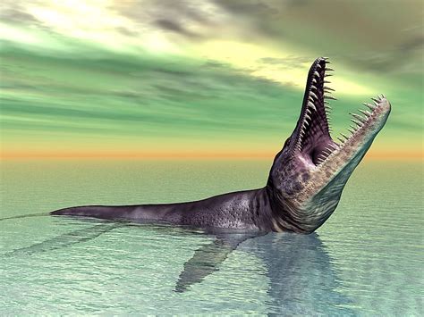 8 Amazing Prehistoric Animals  Who Aren t Dinosaurs ...
