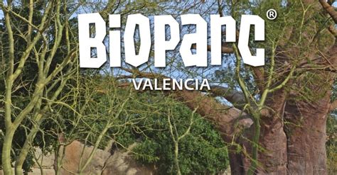 8º aniversario con descuentos en Bioparc | Ahorradoras.com