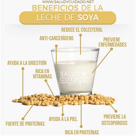 8 Beneficios de la leche de soya 【¿Es buena o mala?】