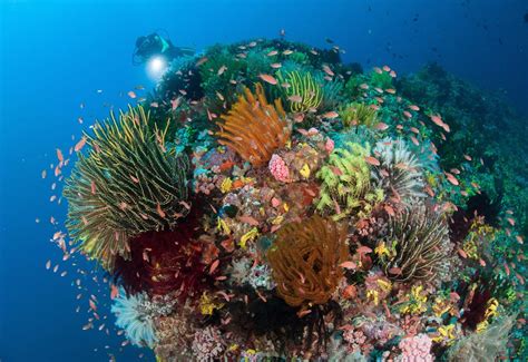 8 Cosas que no sabes acerca de los océanos del mundo   Muy ...