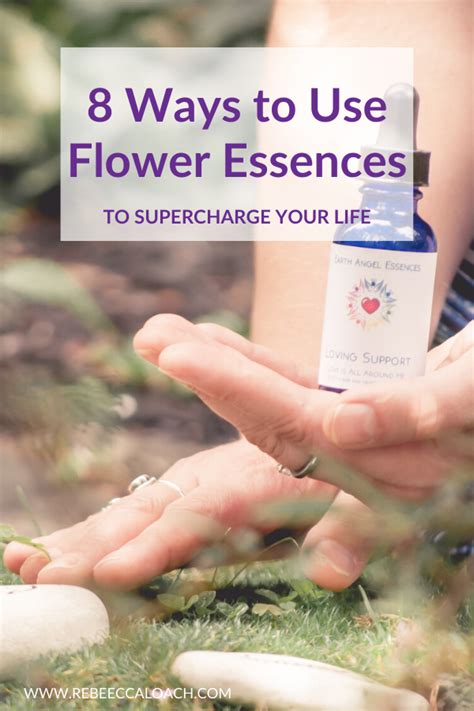8 Great Ways to Use Flower Essences* in 2020 | Flower ...