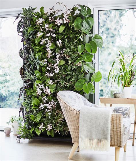 8 ideas para decorar una habitación con plantas de todo tipo