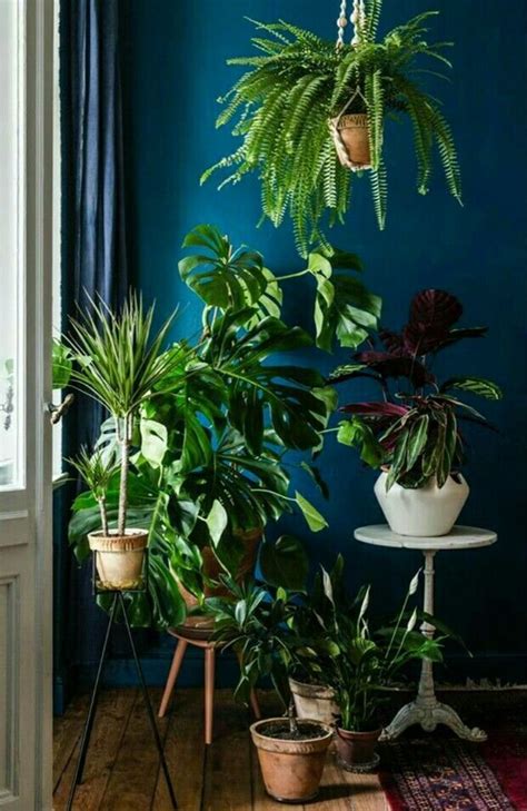 8 ideas para decorar una habitación con plantas de todo tipo
