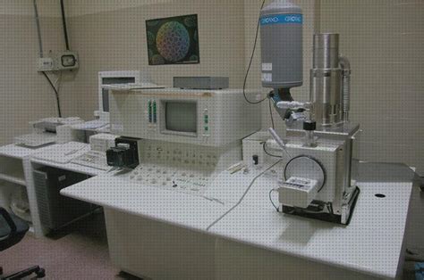 8 Mejores Microscopio Electrónico De Barrido Jeol 6100 ...