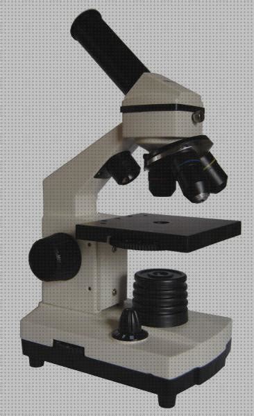 8 Mejores Microscopio Electronico De Transmision Tipos De ...
