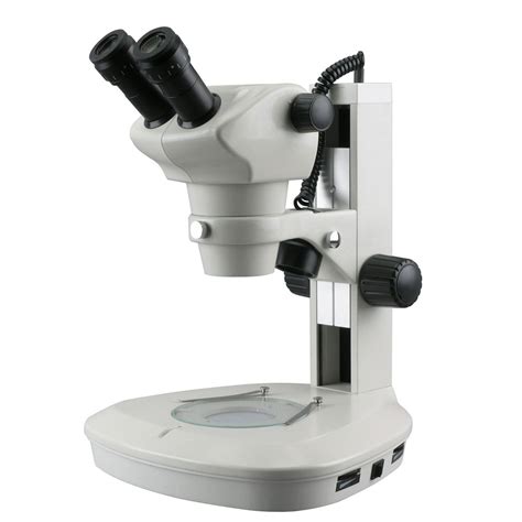 8 Mejores Microscopio Electrónicos Confocal |  2020