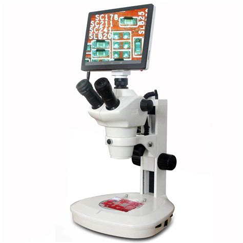 8 Mejores Microscopio Electrónicos Confocal | 2020