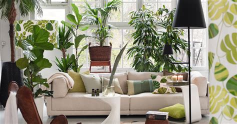 8 plantas exóticas para decorar tu hogar