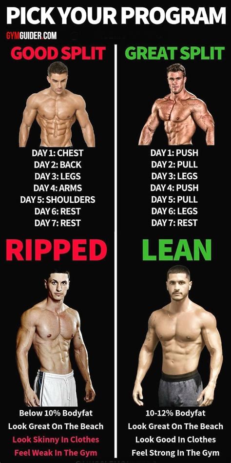 8 Powerful Muscle Building Gym Training Splits | Workout ...