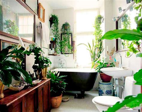 8 Preciosos Ambientes Decorados Con Plantas Interiores ...
