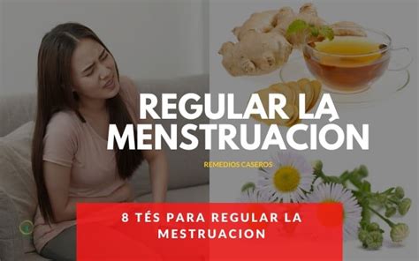 8 Tés Para Regular La Menstruación | Saludnative