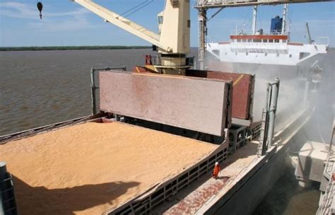 84% de la soja se exporta como grano, harina, aceite y ...