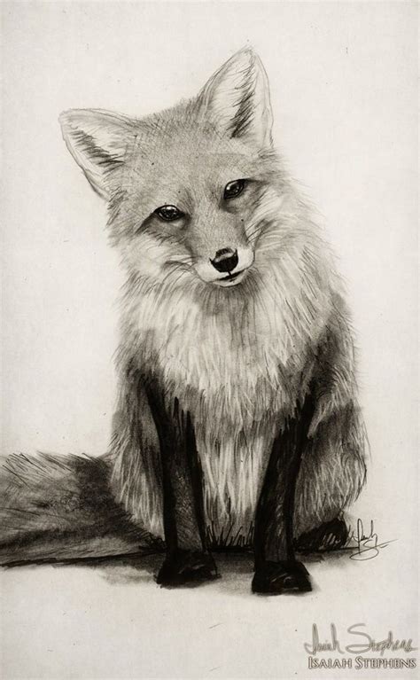 85 Simple And Easy Pencil Drawings Of Animals For Every ...