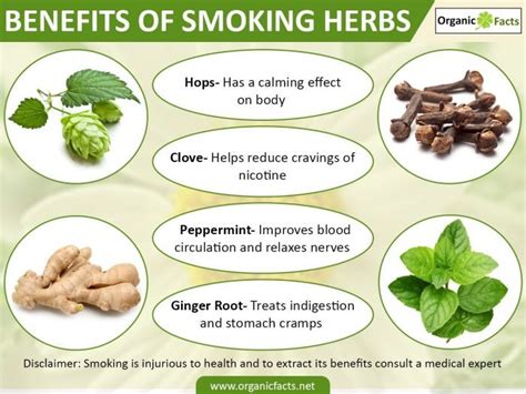 9 Amazing Benefits of Smoking | Organic Facts