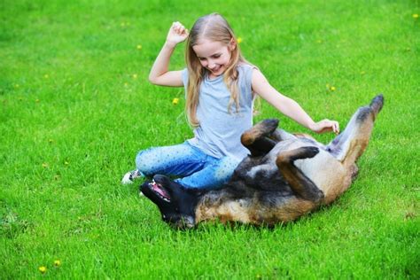 9 cosas que los perros enseñan a los humanos | Bioguia