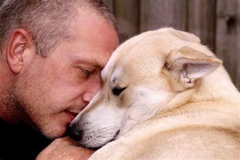 9 cosas que los perros enseñan a los humanos, por Daniel ...