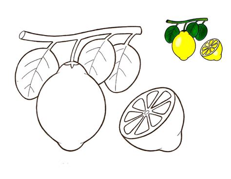 9 Dibujos para niños de limones para pintar