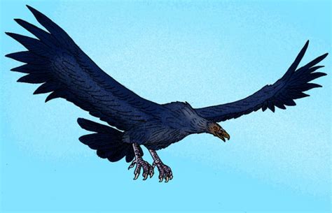 9 Extinct Big Birds | Mental Floss