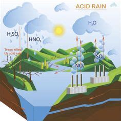 9 ideas de Lluvia ácida. | lluvia acida, lluvia, acida