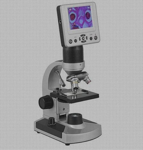 9 Mejores Electrónicos Microscopios Biologías |  2020