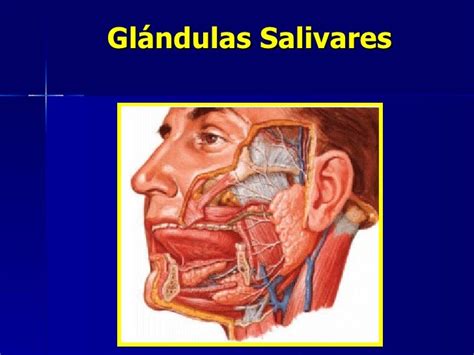 9. patología de glándulas salivares