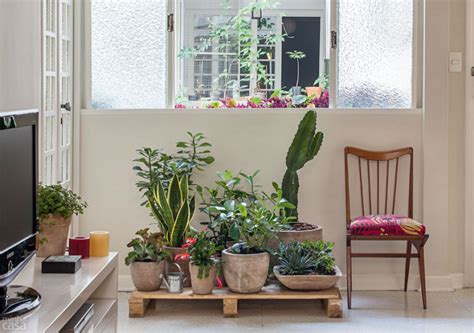 9 Plantas para Interiores com Pouca Luz   Assim que Faz