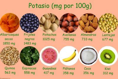 9 Verduras con alto contenido de potasio  Plantas Medicinales ...
