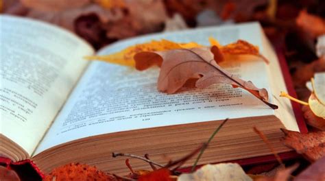 90 libros recomendados por géneros para el otoño del 2016