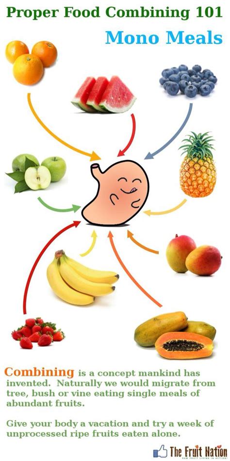 92 best MonoMeal ♡♡ images on Pinterest | Fruit snacks ...