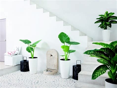 99 Great Ideas to display Houseplants | Indoor Plants ...