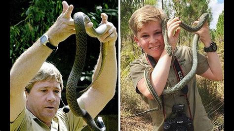 A 14 años de la muerte de Steve Irwin, el cazador de cocodrilos, el ...