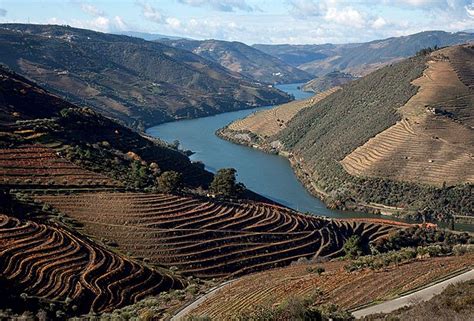 A boa aposta de Portugal: como o país se reinventa com o ...