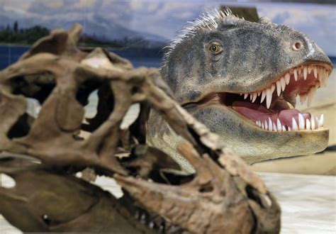 A controversial finding about T. Rex soft tissue now has ...