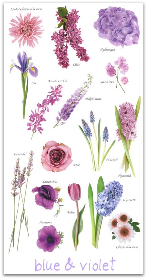 A Glossary of Flowers | The Peak Xperience