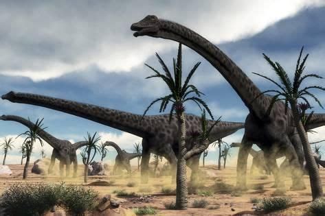 A Herd of Diplodocus Dinosaurs Walking in a Desert Landscape  Art ...