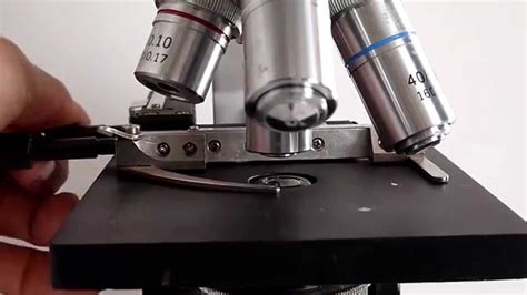 A LA VENTA  Microscopio Amscope   YouTube