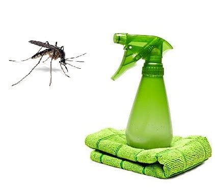 A mi manera: Repelentes naturales contra mosquitos y zancudos