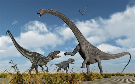 A pair of carnivorous Allosaurus dinosaurs confront a ...