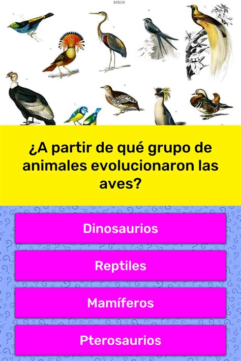 ¿A partir de qué grupo de animales... | La respuesta de Trivia