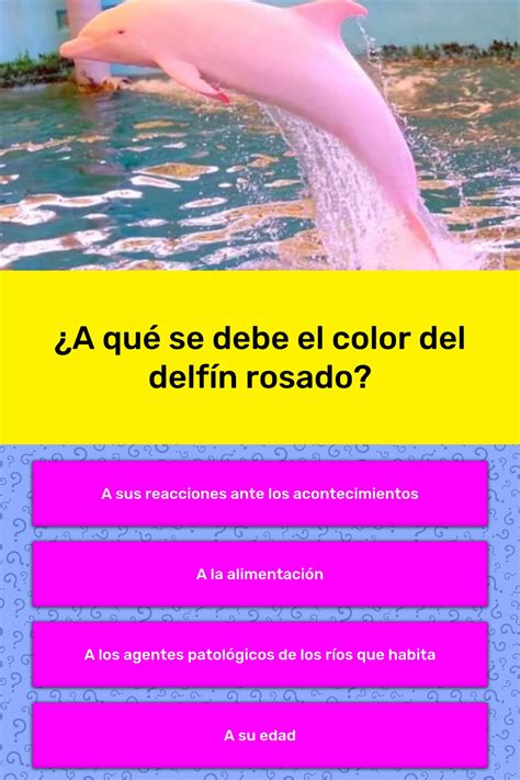 ¿A qué se debe el color del delfín... | La respuesta de ...
