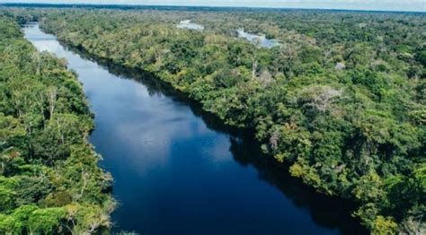 A saúde no Amazonas profundo | Editorial | Acritica.com ...