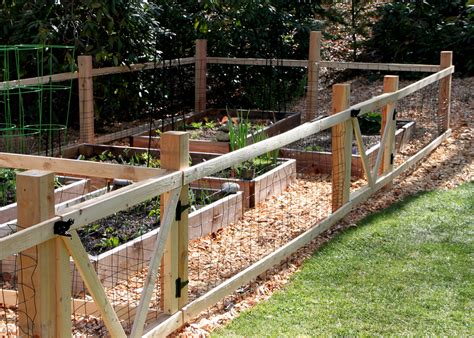 A Simple Garden Fence | Tilly s Nest