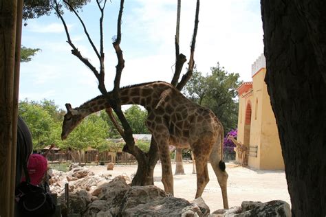 a touch of lisbon: Zoo de Lisboa