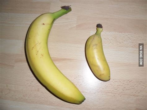 A very small Banana  added a Banana for scale    9GAG