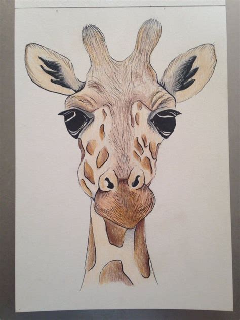 A5 giraffe face drawing using pencil and ink. Original ...