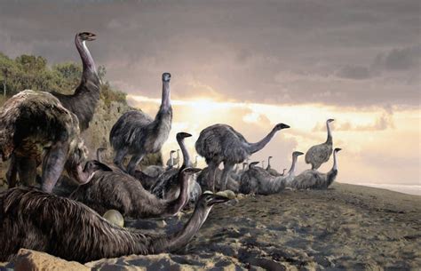 Abe s Animals: Live restorations of the giant extinct animals of ...