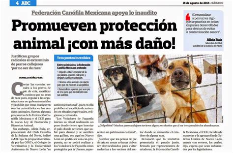 Aberrante: Federación Canófila Mexicana pide matar a todos los perros ...
