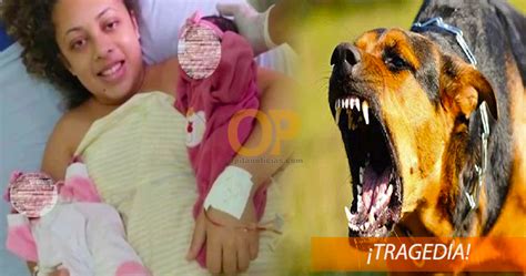 Aberrante: perro asesino a gemelas recién nacidas por que ...