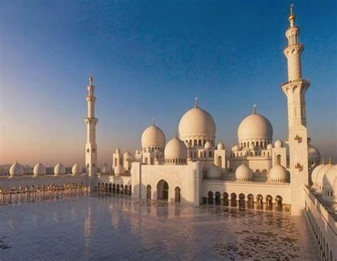 Abu Dhabi | Travel photographer, Travel, Cool pictures